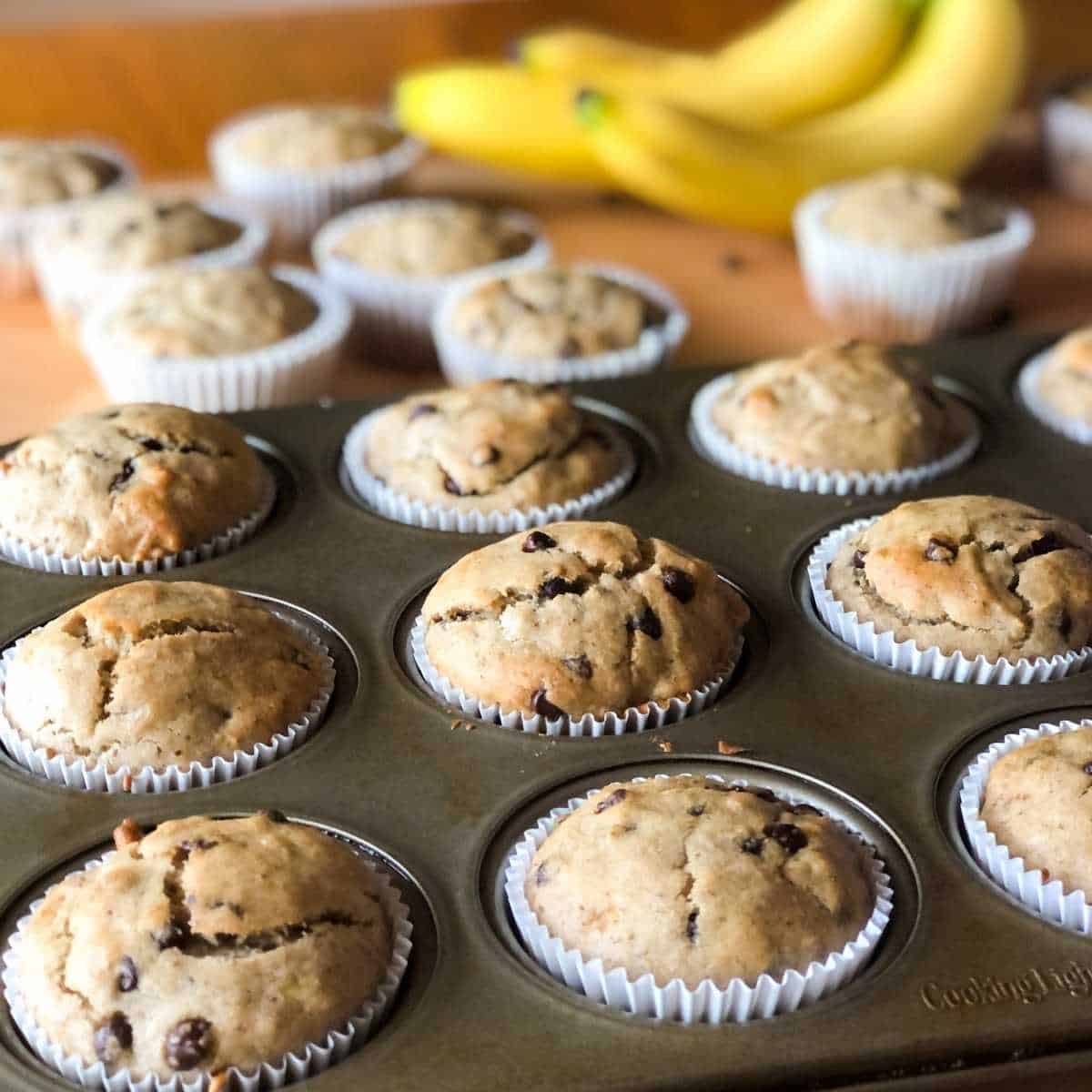 Gluten free chocolate chip banana muffins in a muffin tin