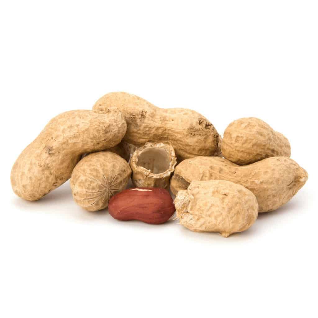 Peanut Allergy