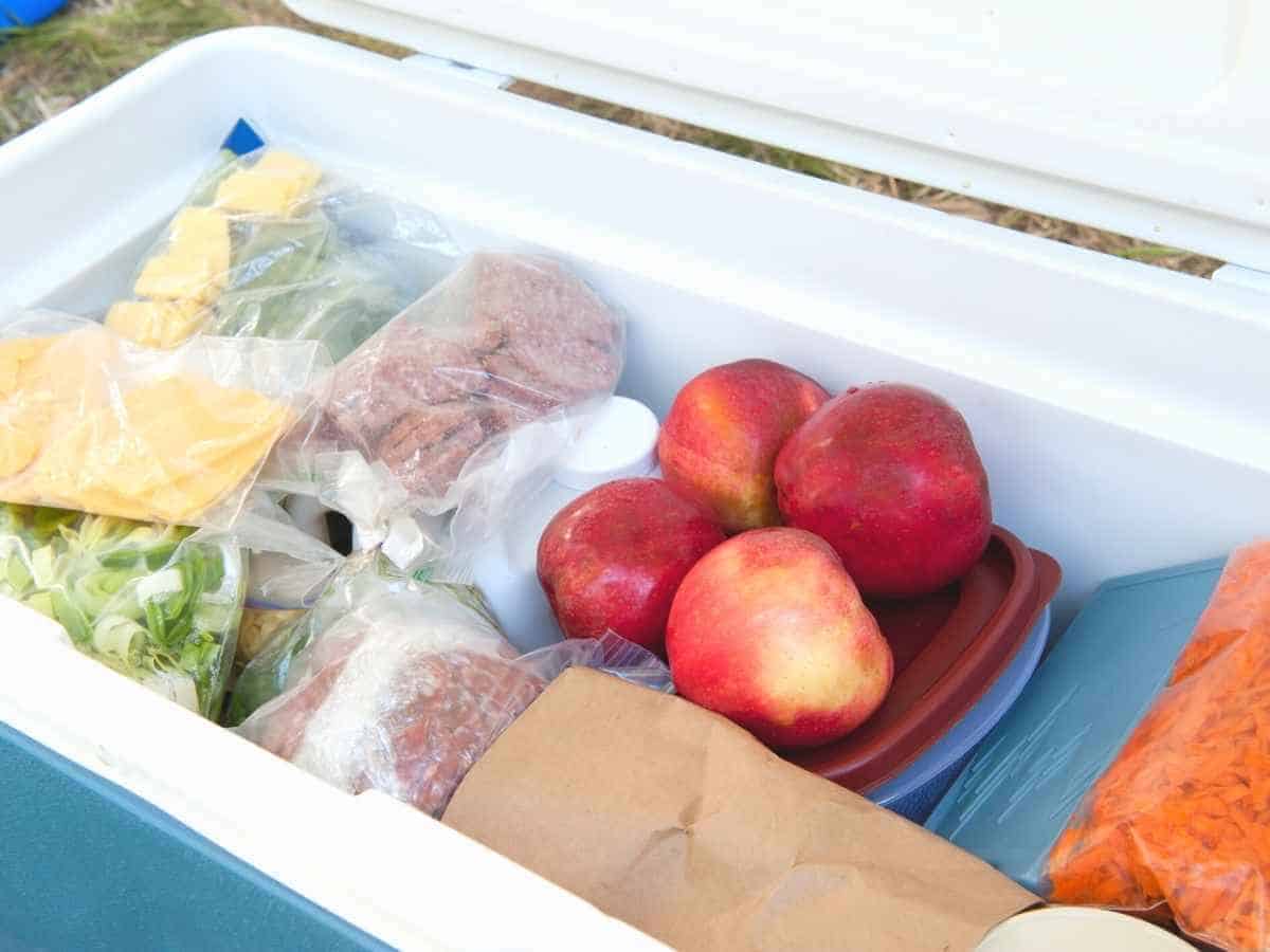 A cooler with cold cuts, fruit, and vegetables in it.