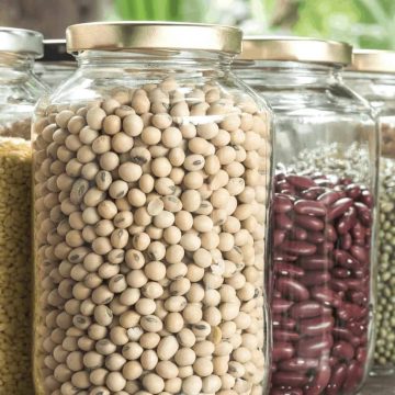 Soy Substitutes