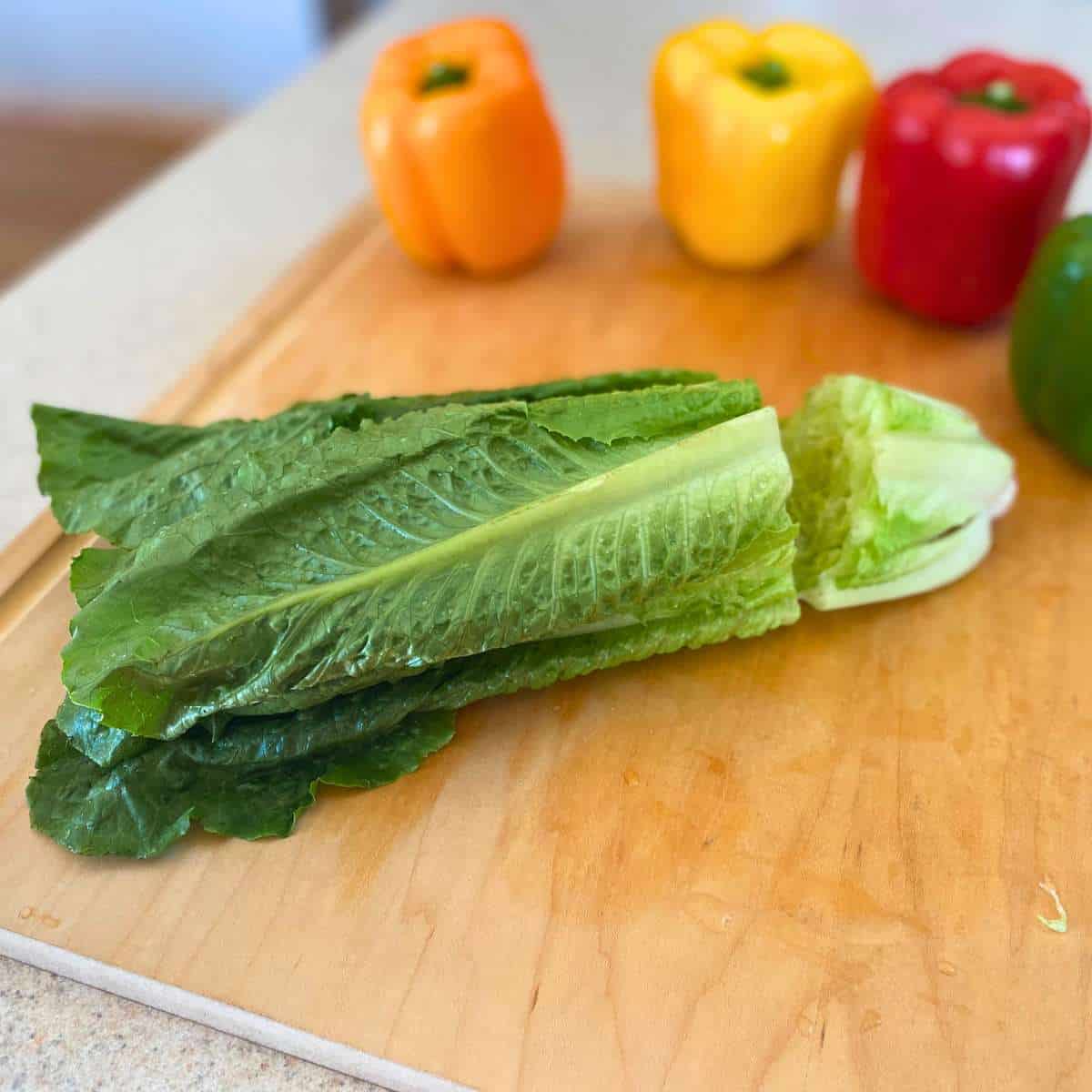 A head of romaine lettuce with the stem end cut off.