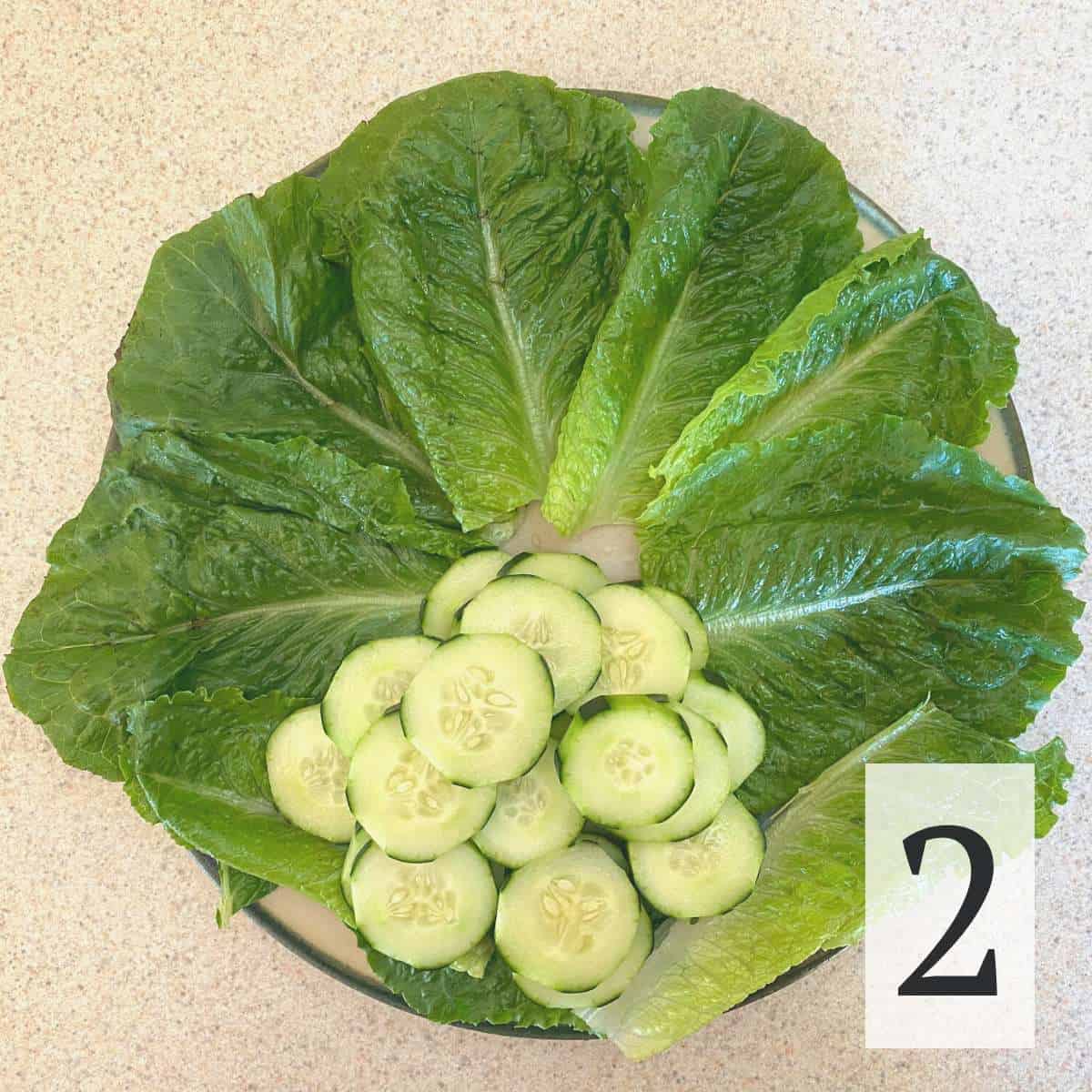 A plate covered with lettuce and a mound of sliced cucumbers.