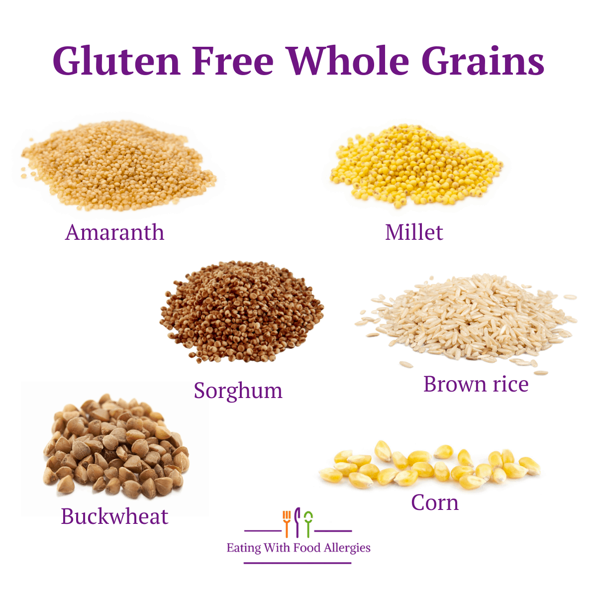 A variety of gluten free whole grains including amaranth, millet, sorghum, brown rice, buckwheat, and corn. 