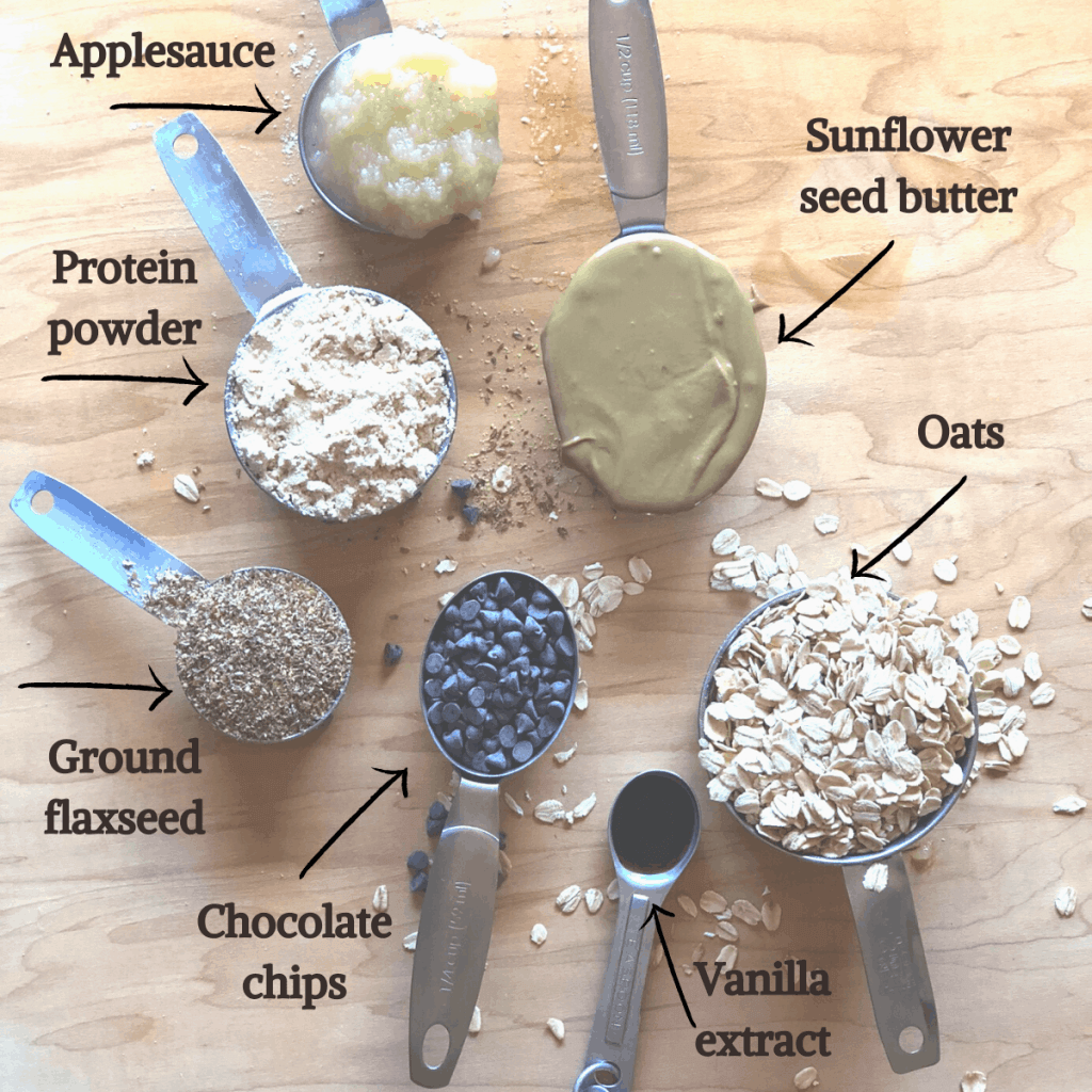 Allergy Friendly No Bake Snack Bites
